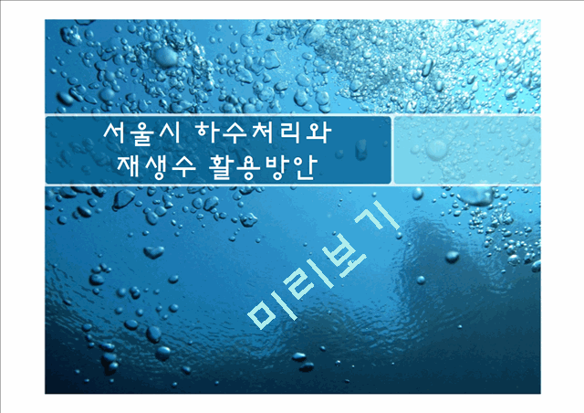 재생수 활용방안,서울시 하수처리 현황,재생수 이용계획(국내 및 해외)   (1 )